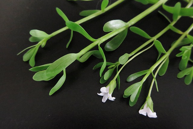 Jak szybko coś zapamiętać? Jak szybko coś zapamiętać?