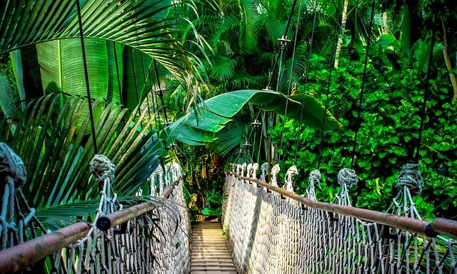 Kiedy kurs akcji rośnie?