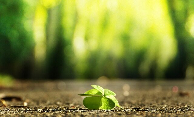 Gdzie w Polsce można znaleźć złoto? Gdzie w Polsce można znaleźć złoto?