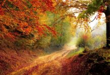 Kiedy kończył się rok szkolny w latach 70?