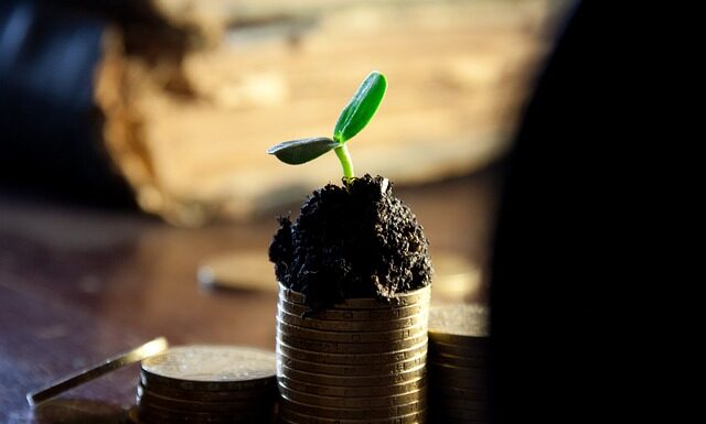 Ile razy w roku można wypłacić dywidendę?