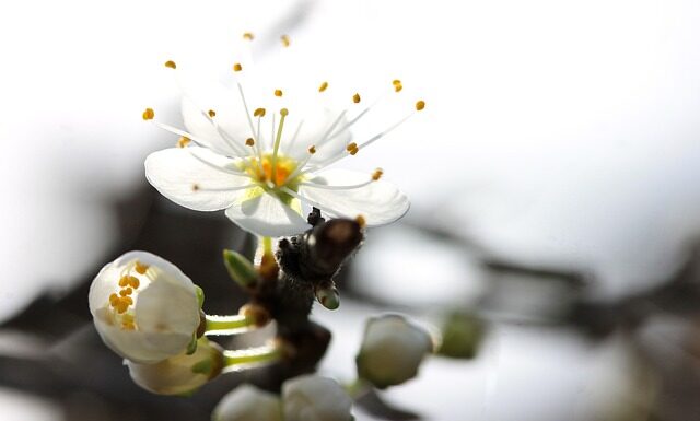 Ile się dostaje za 1 mln wyświetleń? Ile się dostaje za 1 mln wyświetleń?