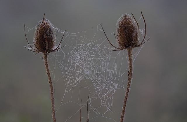 Czy uczeń ma prawo zrobić zdjęcie sprawdzianu? Czy uczeń ma prawo zrobić zdjęcie sprawdzianu?