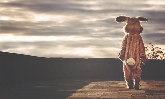 Jak indywidualny inwestor może kupić akcje?