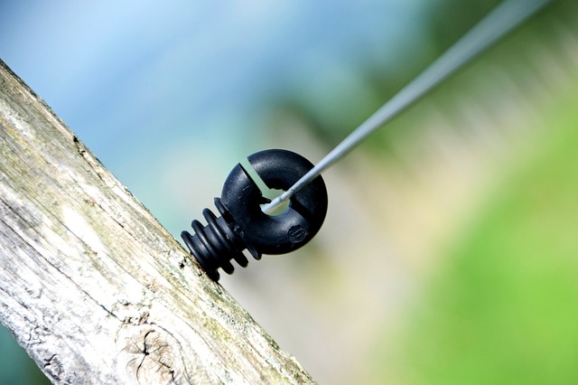 Jak Norwegowie traktują Polaków? Jak Norwegowie traktują Polaków?